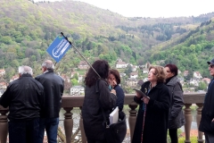 Blick auf den Neckar
